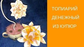 Топиарий денежный. Как сделать ОРИГИНАЛЬНЫЙ денежный топиарий.