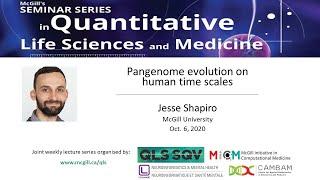 QLS Talk: Pangenome evolution on human time scales