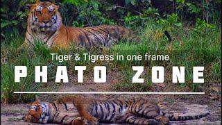 Phato Zone | Better Than Dhikala...| Jeep Safari | Jim Corbett National Park | Tigers Sighting |