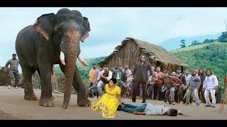 राजाभीमा सुपरहिट साउथ ब्लॉकबस्टर हिंदी डब एक्शन फिल्म || आरव, आशिमा नरवाल #hindidubbed #new