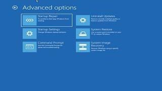 Windows 11 Blue Screen Error Critical Process Died FIX {Complete Solution]