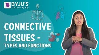 Connective Tissues - Types And Functions I Class 9 I Learn with BYJU'S