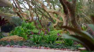 Tangled Oaks : EPIC Shade Garden