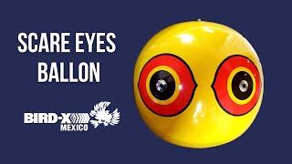 SCARE EYE BALLONS Ahuyentador Inflable de Aves