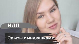 Опыт с Индюшками. Психология влияния Роберт Чалдини.