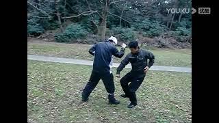 Xinyi Liuhe Quan - Applications - 心意六合拳