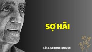 132. Sợ hãi - Sách nói Krishnamurti Tiếng Việt