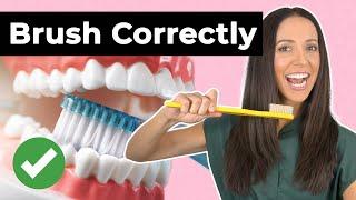 How To Brush Your Teeth Correctly