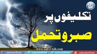 Patience At Inconveniences | تکلیفوں پر صبر و تحمل | Zad-e-Rah Official | 2020