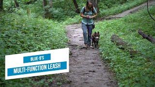 Blue-9's Multi-Function Leash | Best Dog Training Leash for Hikes and to Stop Pulling