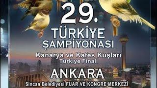 29. KANARYA VE KAFES KUŞLARI  YARIŞMASI FİNALİ