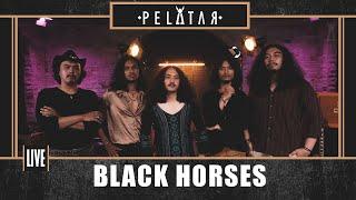 Black Horses // PELATAR LIVE