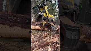 John Deere 1270G in Action:Unstoppable Forestry Power!#lumberjack #forest #johndeere #wood