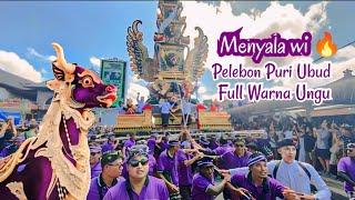 FULL VIDEO!! GEMURUH RIBUAN PENONTON Pelebon Puri Ubud 2024 Termegah dan paling Viral
