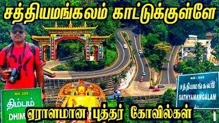 சத்தியமங்கலம் காடுகள் | Thimbam | Sathyamangalam Forest | Odayarpalya |  | Mettur Senthil World