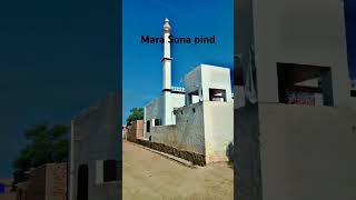 pind brand