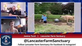 15 - Lancaster Farm Sanctuary, Jonina Turzi - Lancaster Connects Ep 15 - 6-16-21