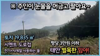 #531[정성들인 임야]19,835 ㎡, 태안 반계리, 포크레인작업 후 과수원만드는중,복숭아감자두밤나무식재,도로접, 전기와물사용, 자연인, 벌목완료