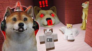 Lari Dari Kejaran Doggy Ganas Penculik Kucing!! - Roblox Indonesia