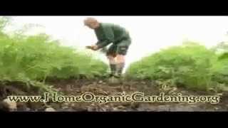 Grow Organic Garden Anywhere in the World