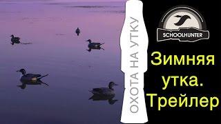 Duck Hunting. Brass Calls lure a duck