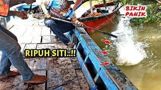 Gak usah lempar jauh..!! Kakap besar menunggu umpan turun di bawah perahu