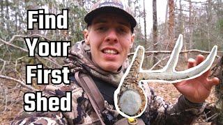 Find your very first Shed antler #shedhunting #shed #hunting #bowhunting