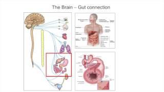 Alpha-Synuclein - What's it all about?