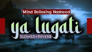 My Arabic Language । Ya Lugati । Slowed Reverb । Lofi Music । Abdullah Al Muqit ।