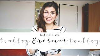 ЧТО ТАКОЕ ERASMUS || Как уехать из Польши || #teablog