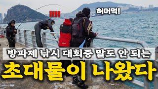 이 방파제에서는 이 낚시가 최고입니다 진짜 골병드는 낚시네요[골병낚시]