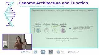 Michaela Peycheva, Institute of Molecular Pathology, Vienna, Austria