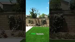 Transform Your Backyard into a Soothing Oasis