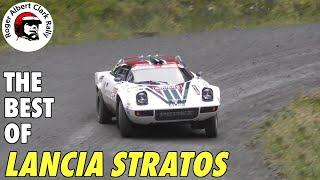 The BEST of LANCIA STRATOS Sound! | RAC Rally 2023 | Pure Sound & Highlights