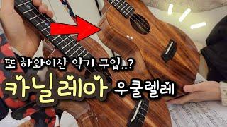 (사치주의) 이번엔 200만원이 넘는 우쿨렐레? 카닐레아 테너 | 하와이 우쿨렐레 | Kanile'a ukulele |