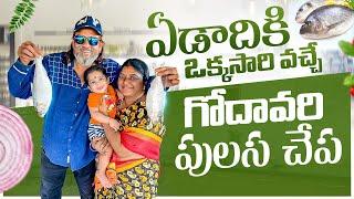 Year Ki Only One Time Vache Godavari Pulasa  By Sahara Family vlogs