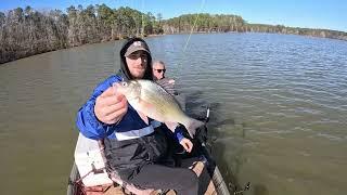 Catching White Perch in Early March on Clarks Hill