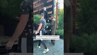 Садовый центр в Ростове ждёт вас #ростовнадону #озеленениеростов #питомникрастений #садоводство