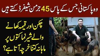 This Pakistani Owns 45 German Shepherd - How Much He Spends Daily on Their Food?