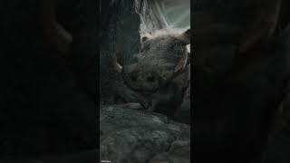 Timon & Pumbaa Cheer Up Kiara!  | Mufasa: The Lion King | Disney Kids