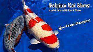 High Quality Koi at the Belgian Koi Show! | Quick Tour of the Koishow