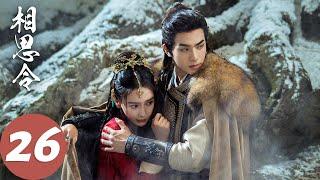 ENG SUB【相思令 Everlasting Longing】EP26 玻璃渣里找糖吃！（杨颖、宋威龙）