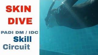 PADI Skill Circuit - Skin Dive Skill PADI IDC & Divemaster Skills Circuit