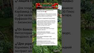 полезные лайфхаки и секреты огородника