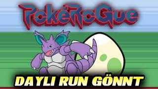 Daily Run gönnt neue Pokemon & LEGENDÄRES EI gebrütet!  | POKEROGUE Angezockt Black Rabbit