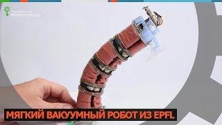 Мягкий вакуумный робот из EPFL (Robotics.ua)