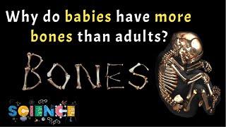 Why do babies have more bones than adults? - Science facts that will blow your mind | Do you know?