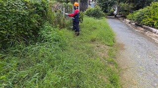 The Overgrown Fence TRANSFORMED Into a PERFECT View in Just ONE DAY!