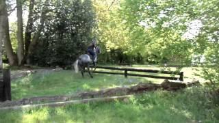 Cosmic Curious xc