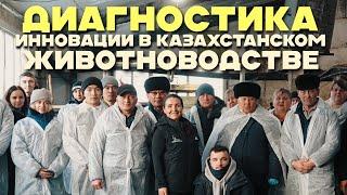 Инновации диагностики в животноводстве и работа ульстросонография в КТ Зенченко и Компания"